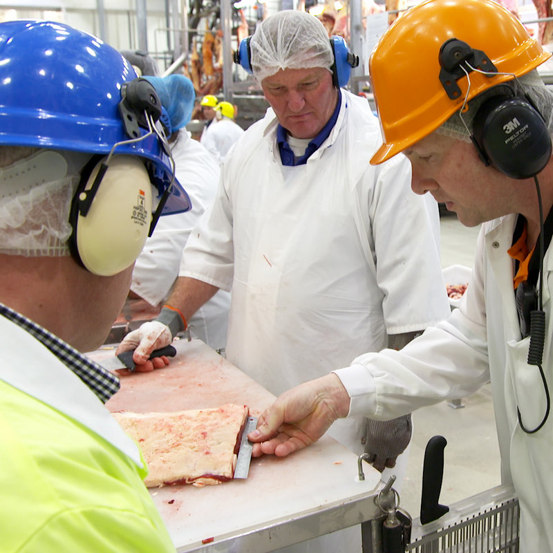 About AUS-MEAT - Setting the Standards in Agribusiness